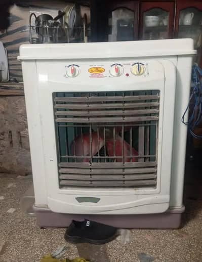 large size pure pvc body