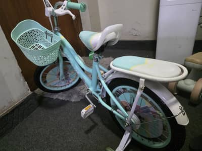 brand new girls themed bicycle