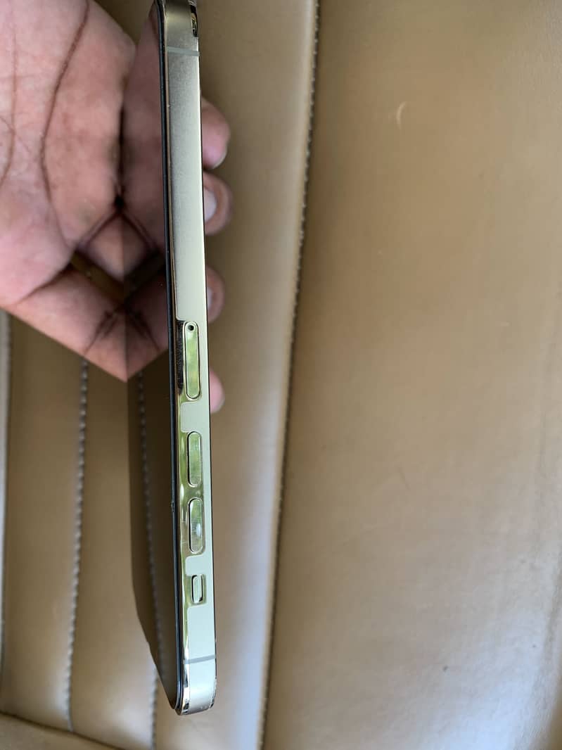 Apple iPhone 13 Pro Max 1