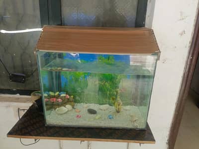 urgent sale
