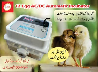 Fully Automatic Incubator 12 egg