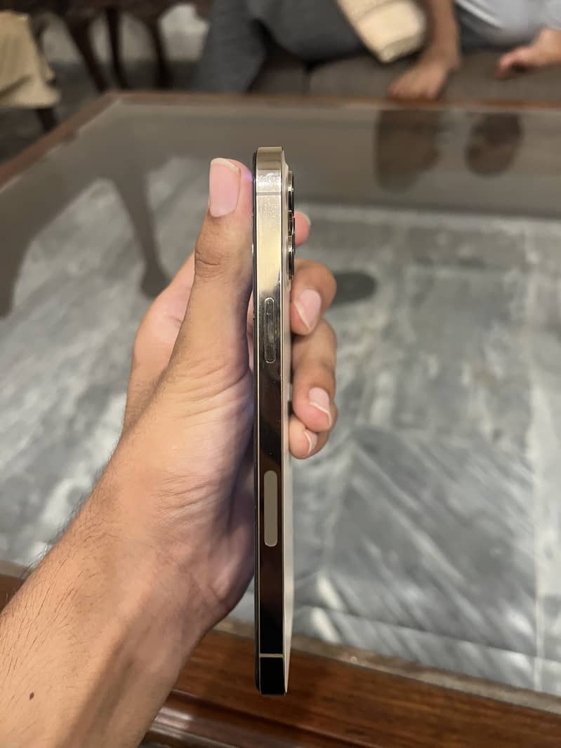 Apple iPhone 12 Pro Max 2