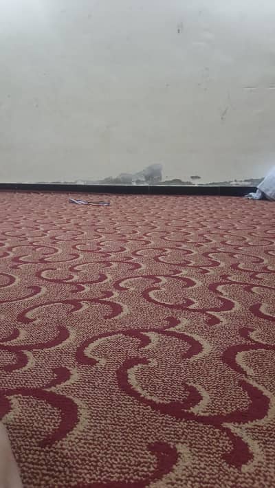 carpet