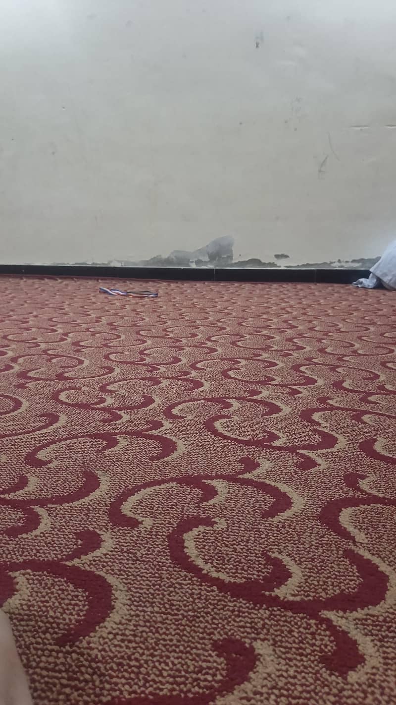 carpet 0