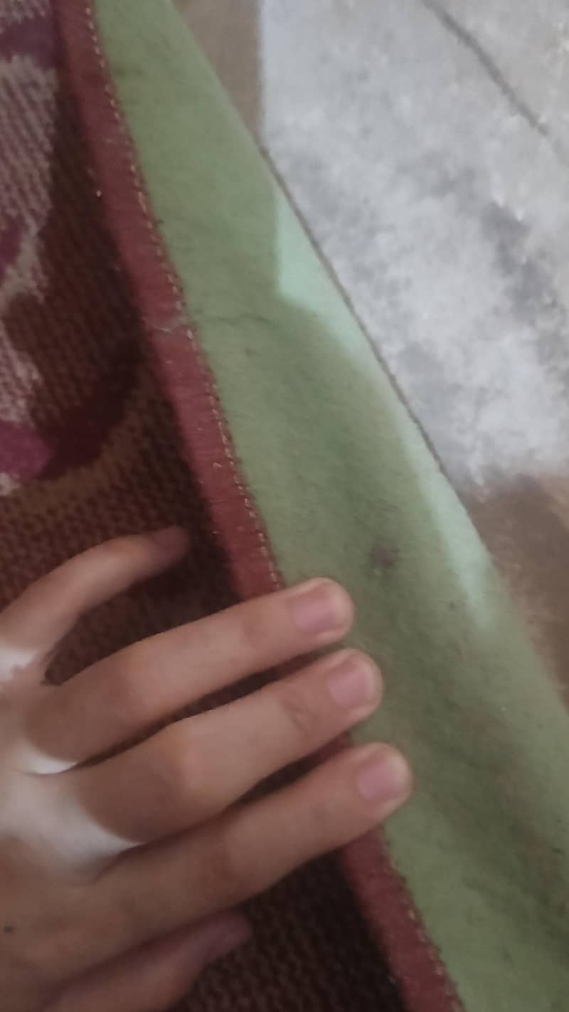carpet 1