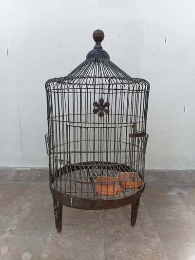 parrot cage for sale