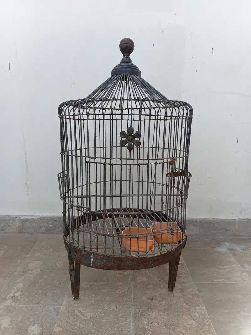 parrot cage for sale