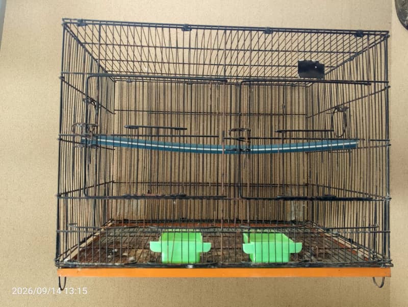 parrots cage 1