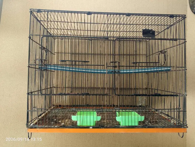 parrots cage — photo 2