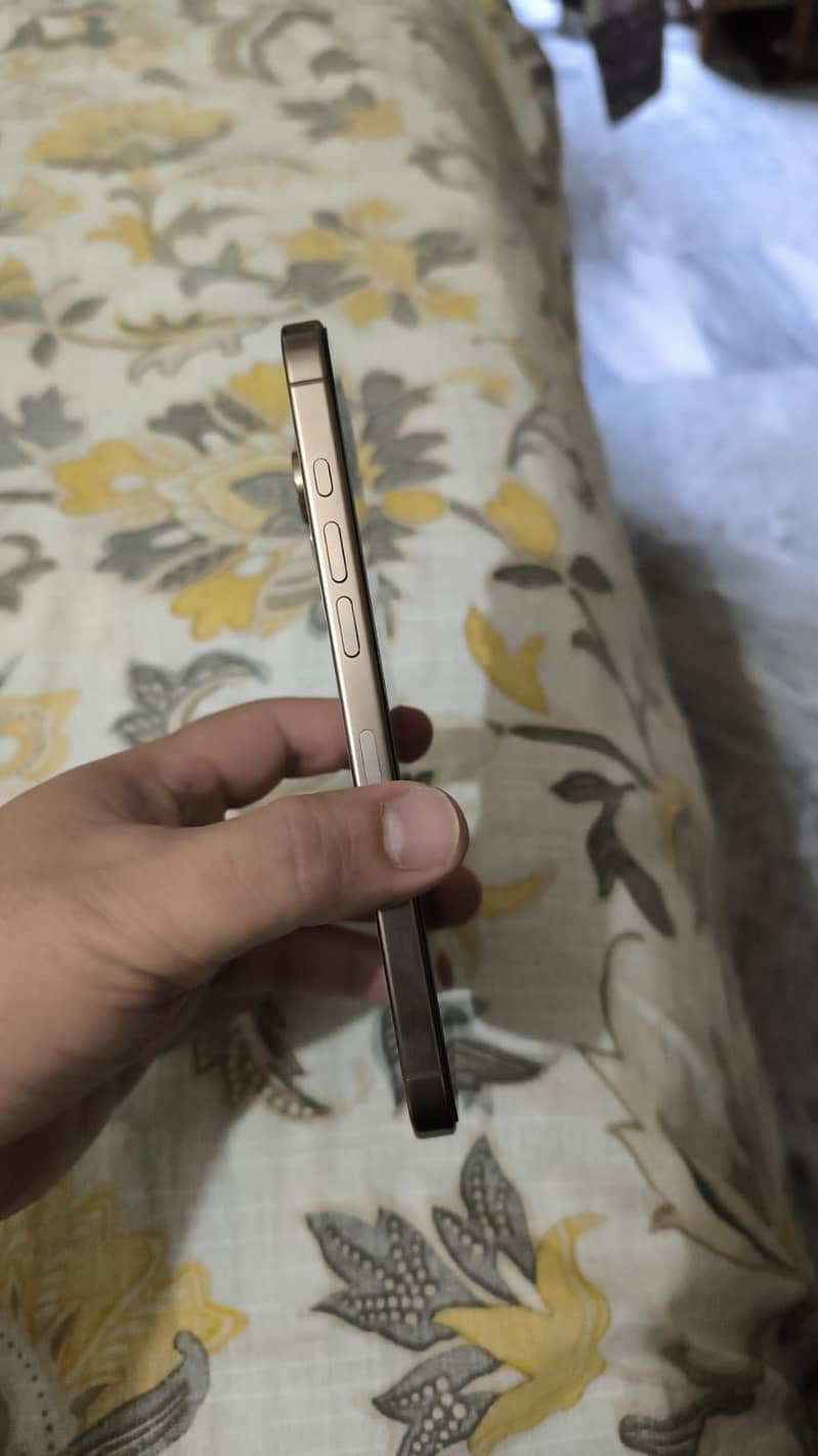 Apple iPhone 16 Pro Max 1