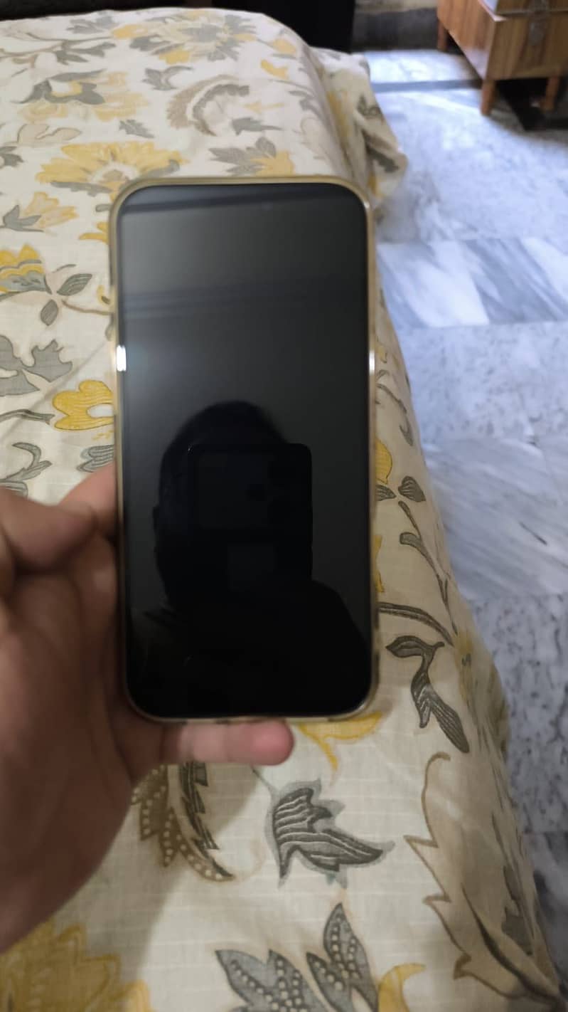 Apple iPhone 16 Pro Max 2