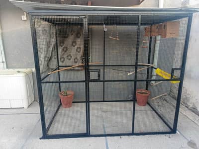 birds  or hens cage