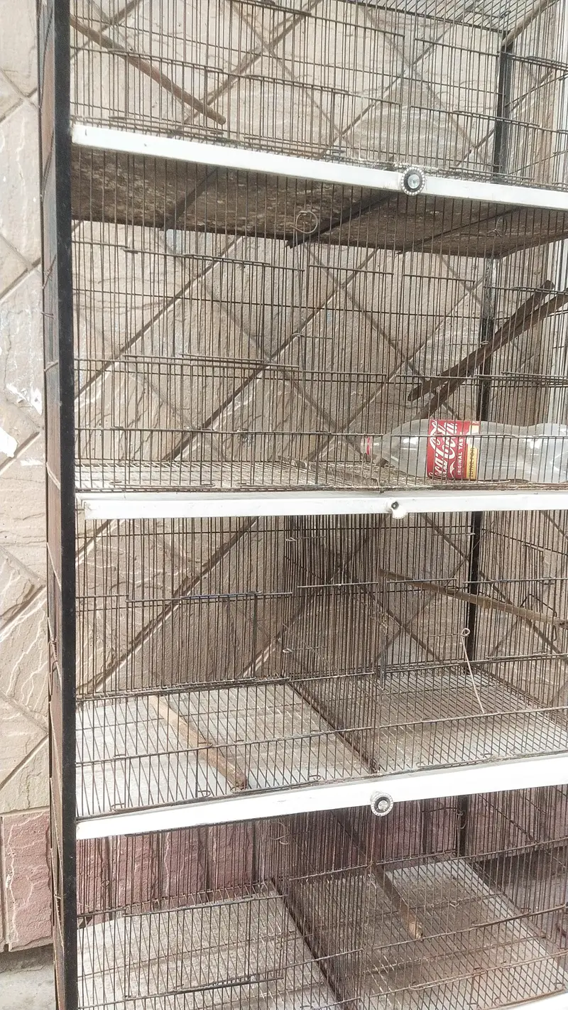 8 Portion cage for sale — photo 2