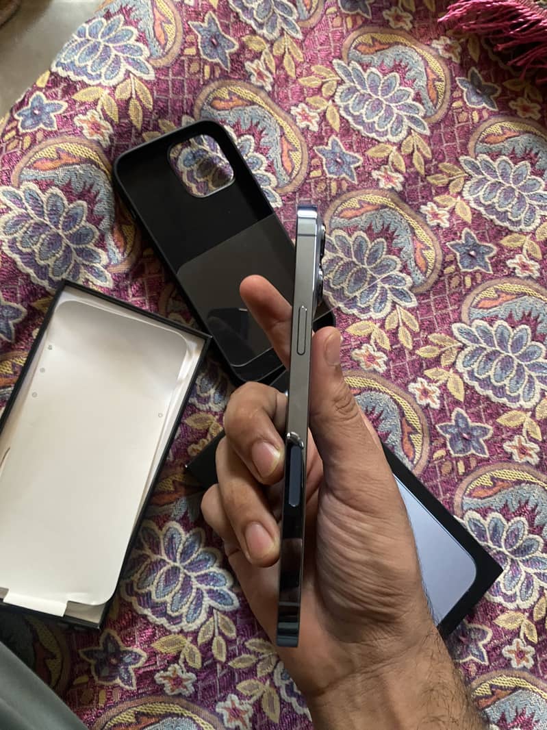 Apple iPhone 13 Pro Max 1