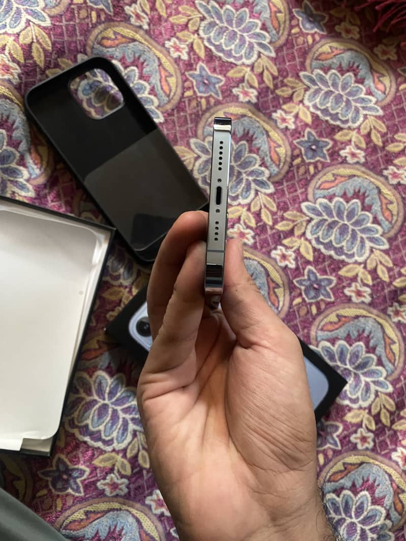 Apple iPhone 13 Pro Max 2