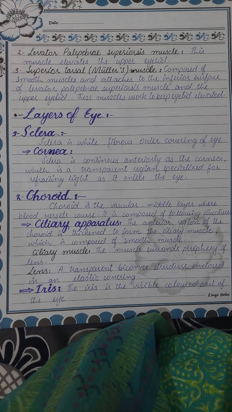 Data entry 5