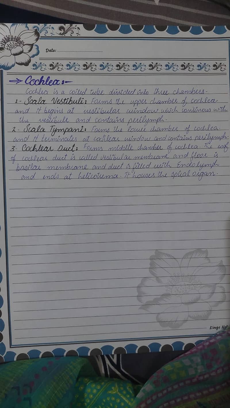 Data entry 12