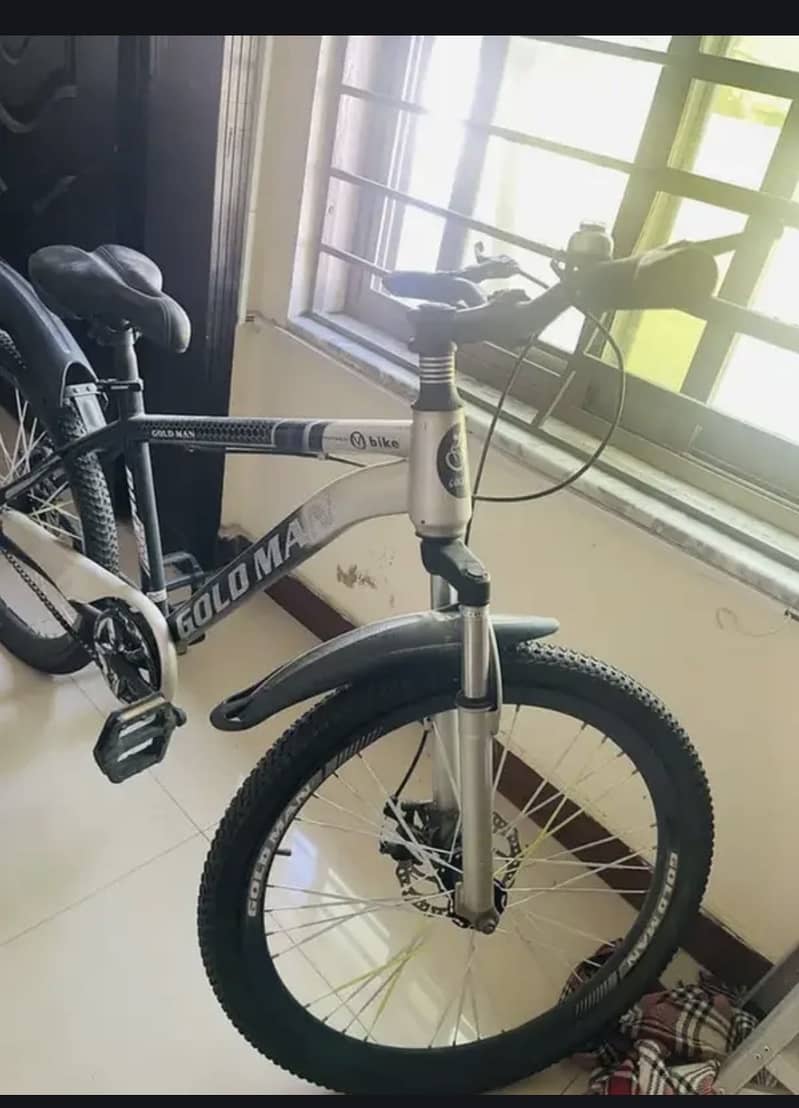 Bicycle 1