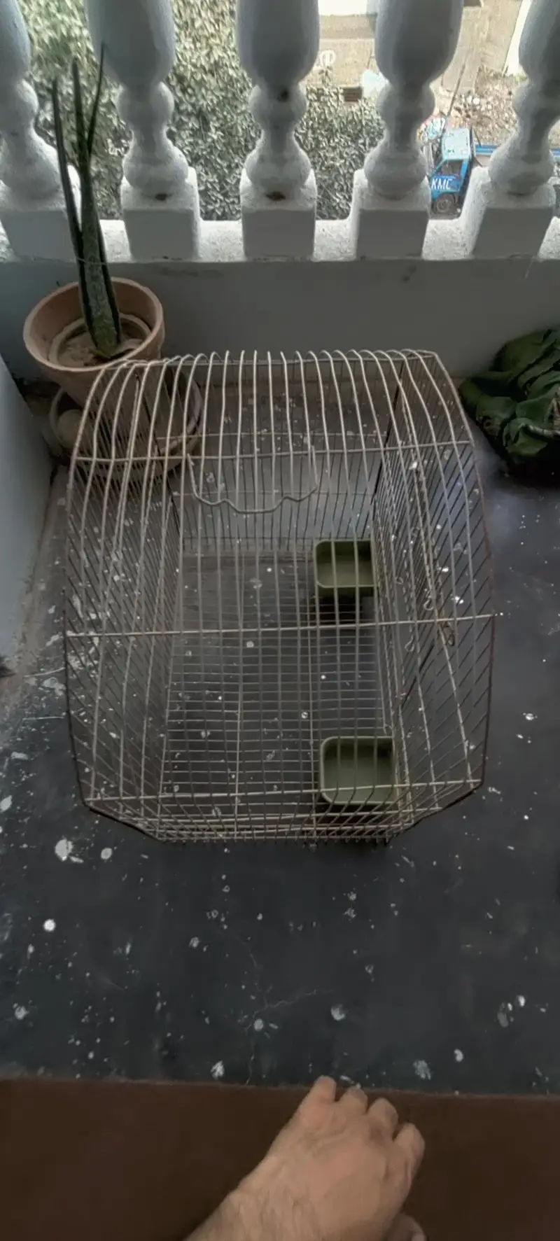 Birds Cages In Good Condition — photo 6