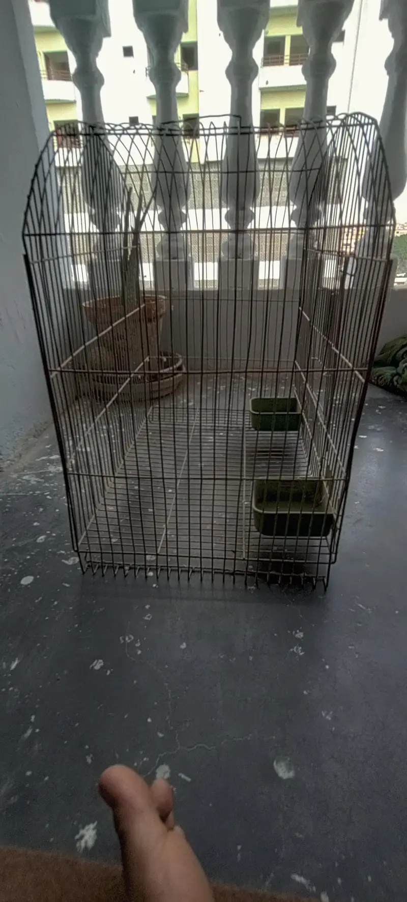 Birds Cages In Good Condition — photo 7