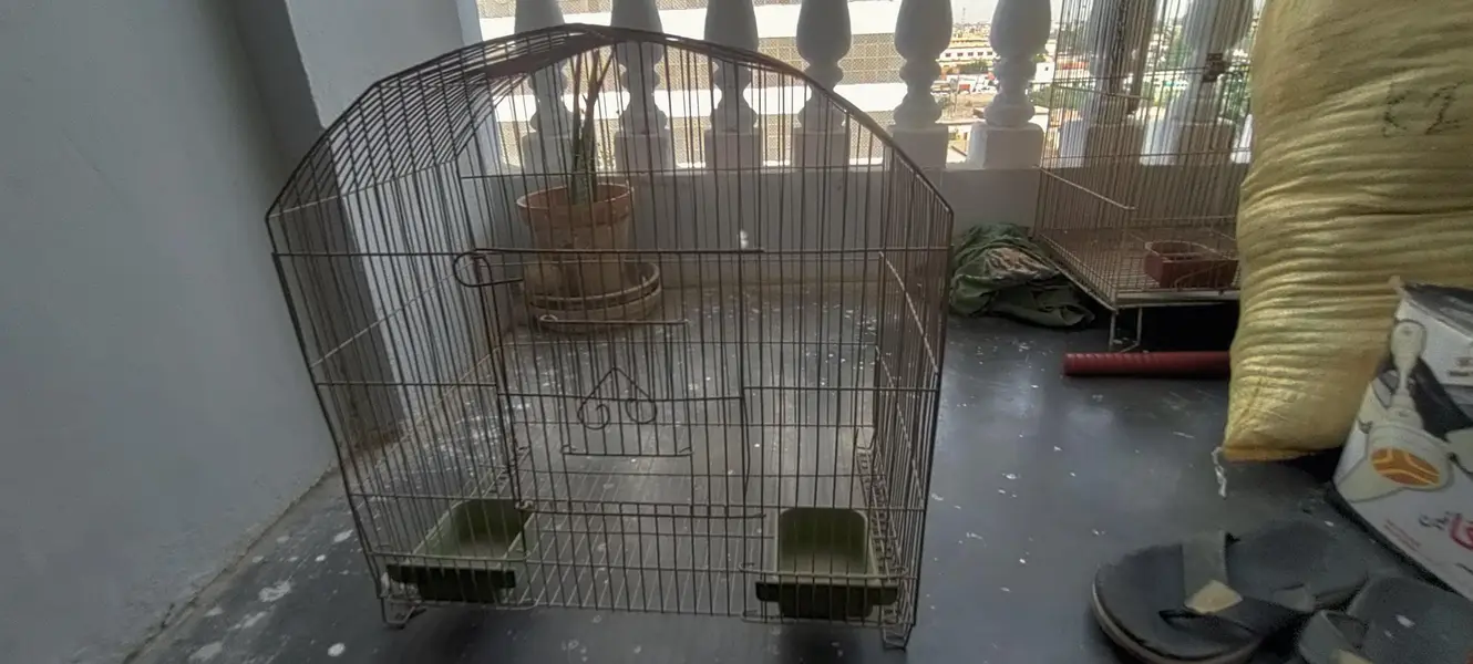 Birds Cages In Good Condition — photo 8