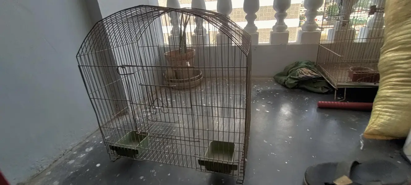 Birds Cages In Good Condition — photo 9