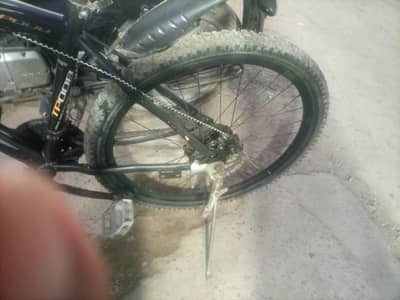 phoenix bicycle for sale