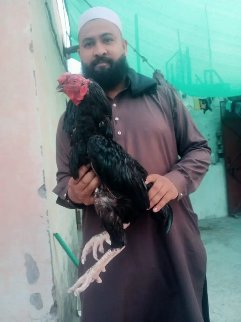 03038777297bhot laraka hai axha hai mjy koi itna khas Shok nhi hai bs — photo 4