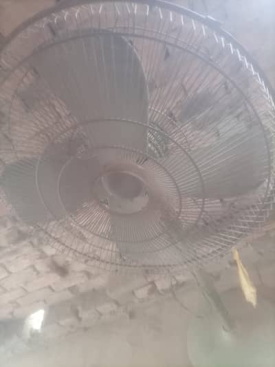 fan mobile