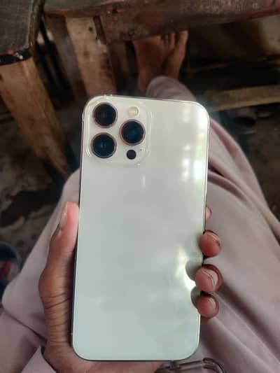 Apple iPhone 13 Pro Max