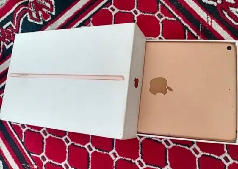 Apple iPad Mini 5 0