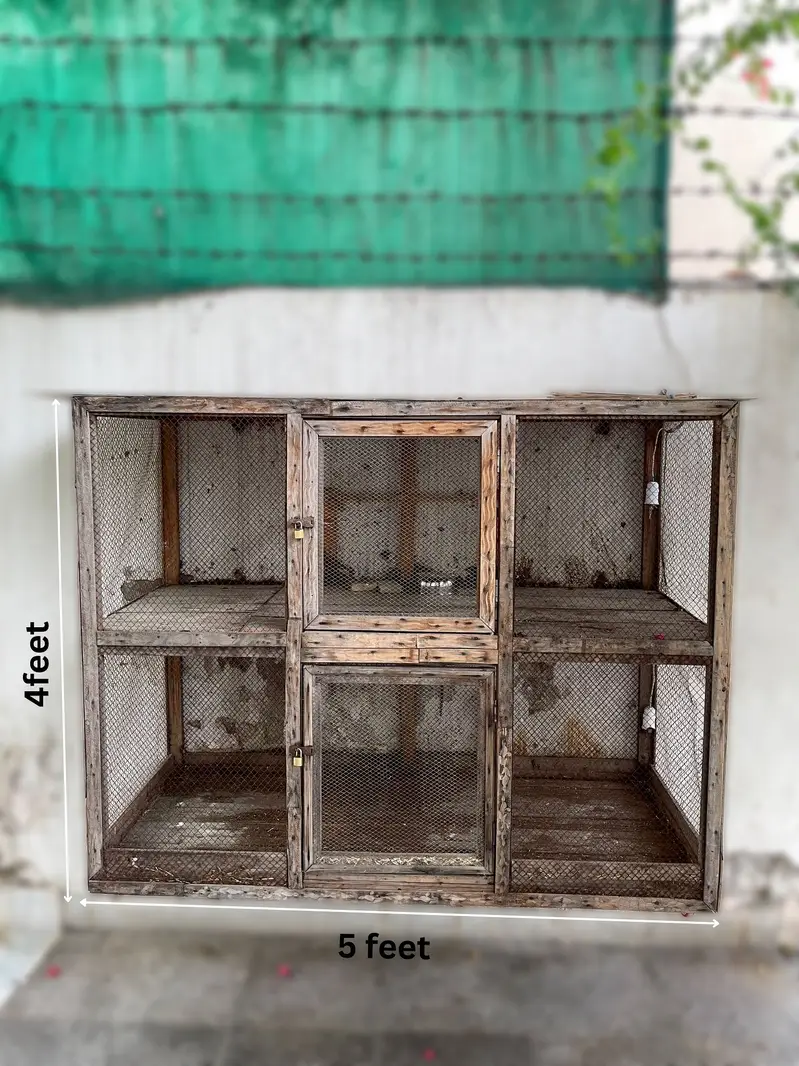 Wooden cage