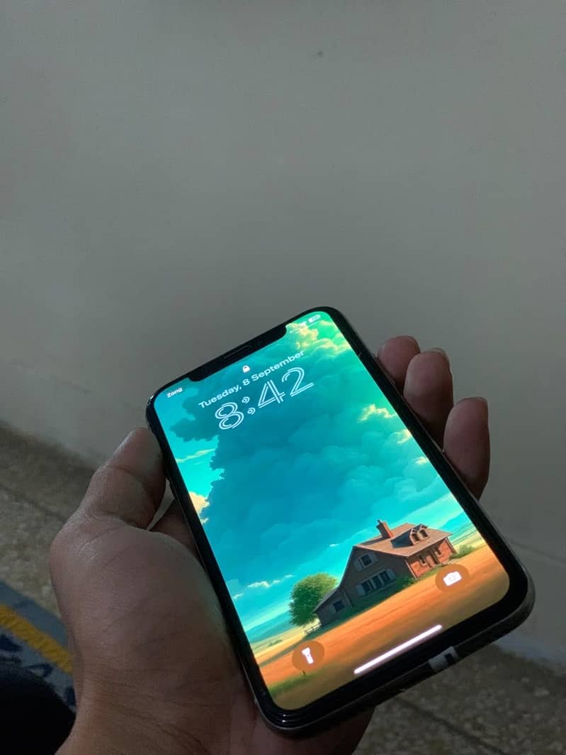 Apple iPhone X 1