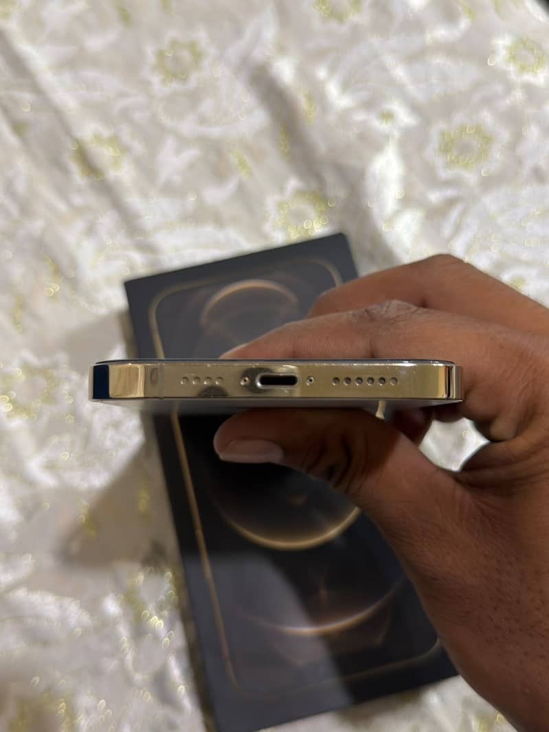 Apple iPhone 12 Pro Max 1