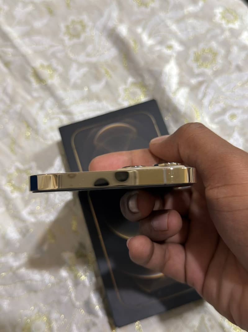 Apple iPhone 12 Pro Max 2