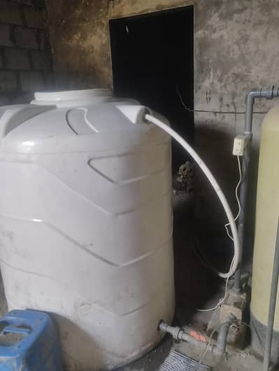 water plant