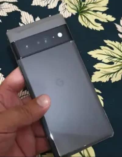Google Pixel 6 Pro panel