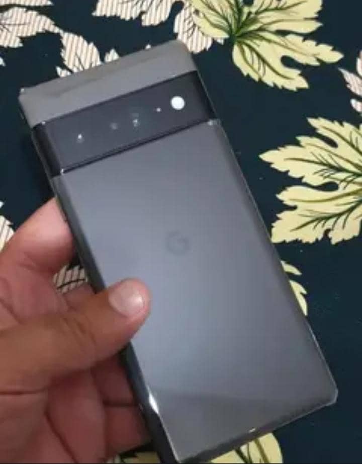 Google Pixel 6 Pro panel 0