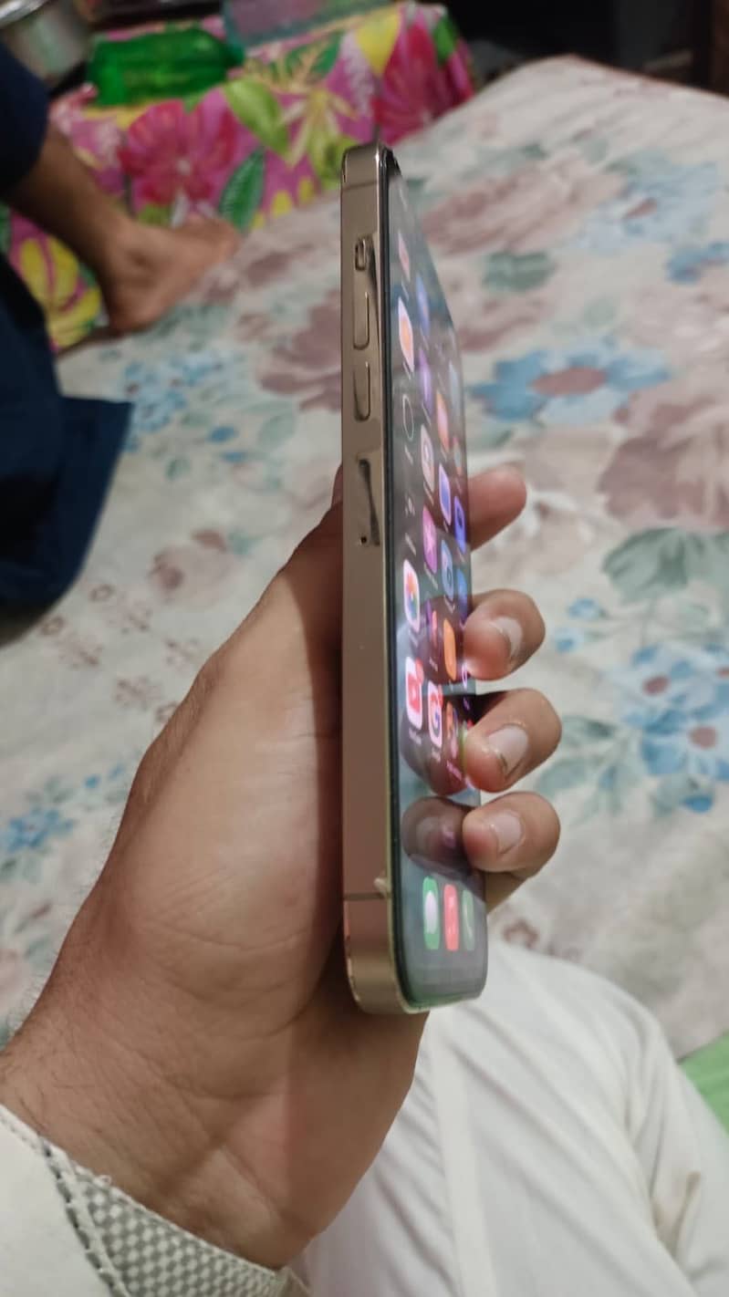 Apple iPhone 13 Pro Max 0