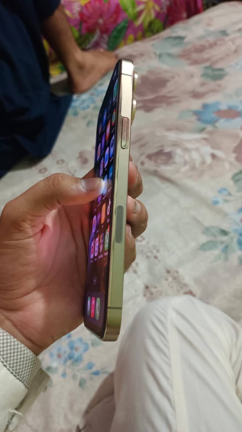 Apple iPhone 13 Pro Max 2