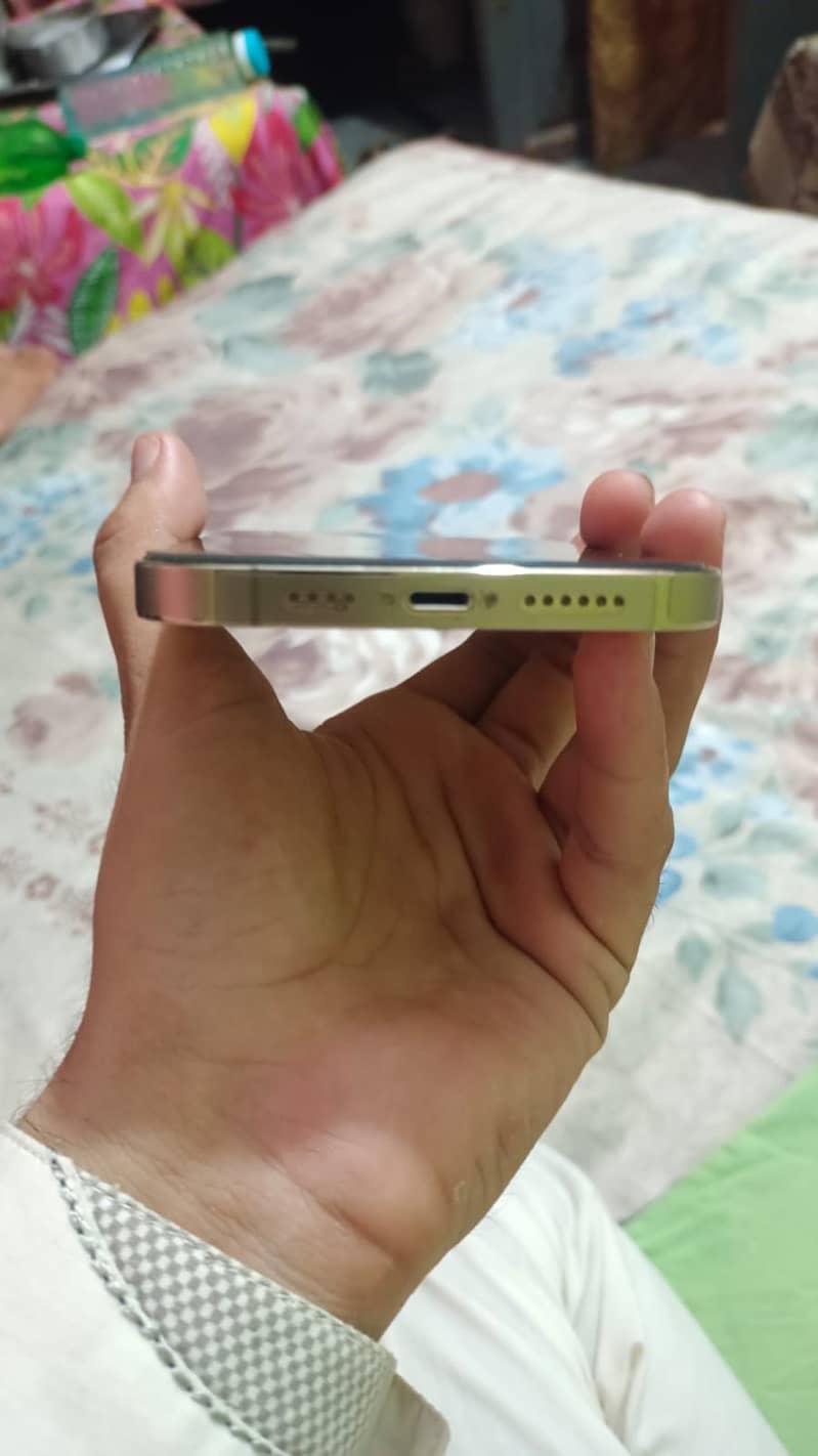Apple iPhone 13 Pro Max 3