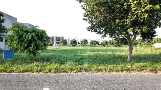 4 Kanal Plot With 1 Kanal Grey Structure 7000 Sqft Park Lane Plot