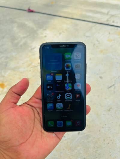 Apple iPhone X