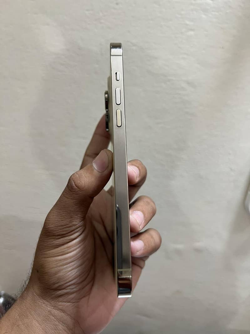 Apple iPhone 14 Pro Max 1