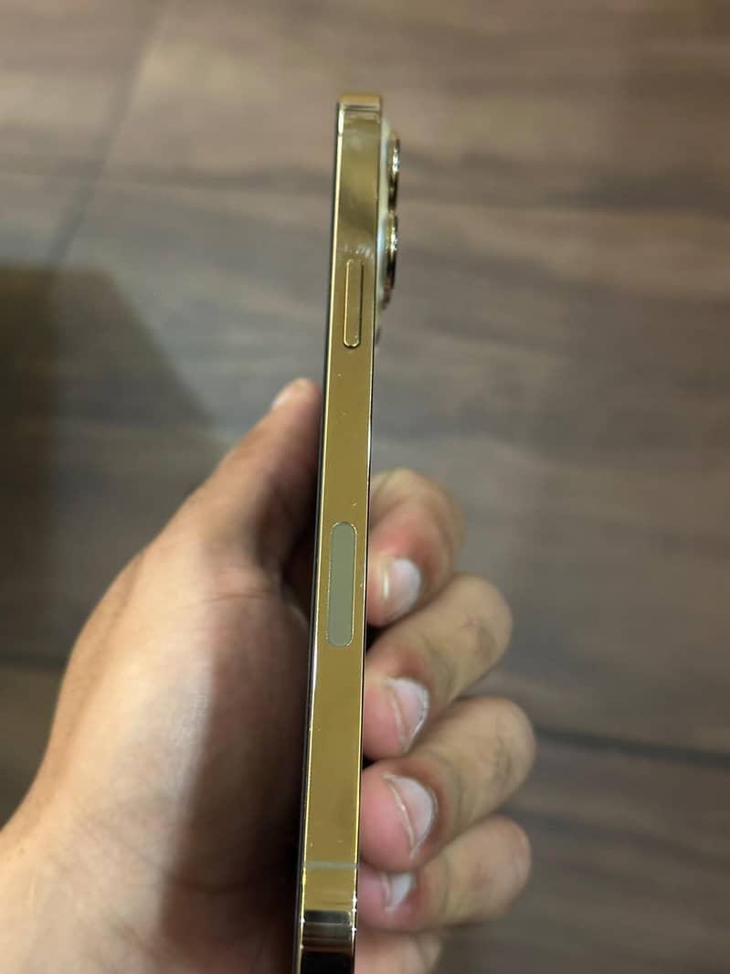 Apple iPhone 13 Pro Max 1