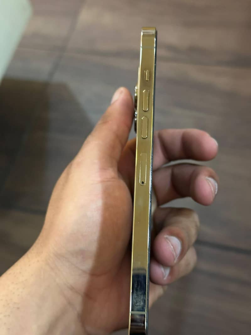 Apple iPhone 13 Pro Max 2