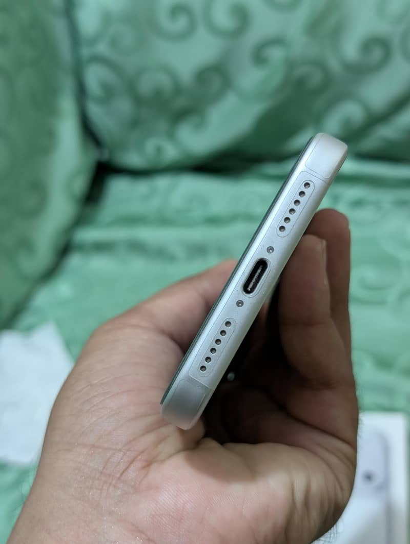 17 pro max Silver 3