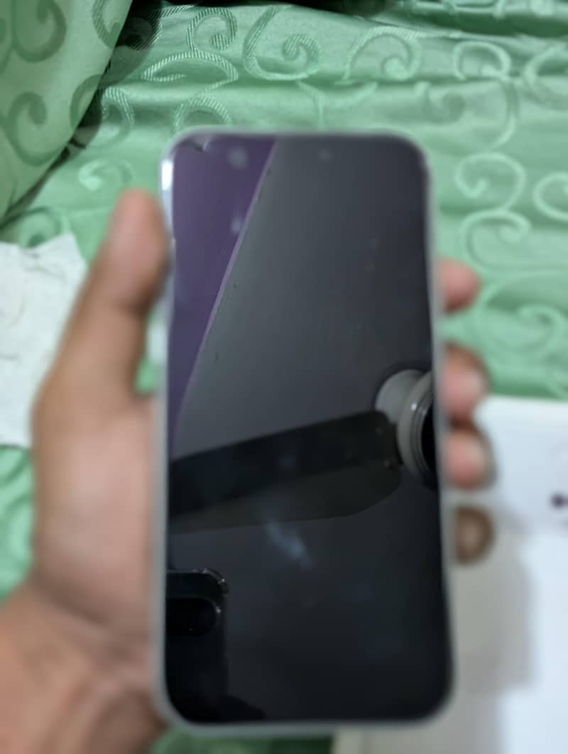 17 pro max Silver 4