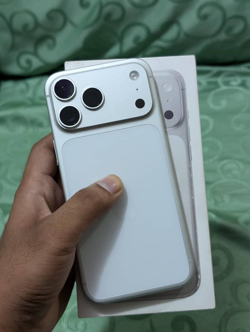 17 pro max Silver 6