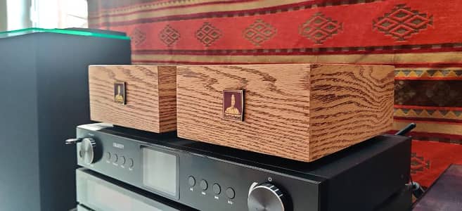 Bottlehead USA Phonostage